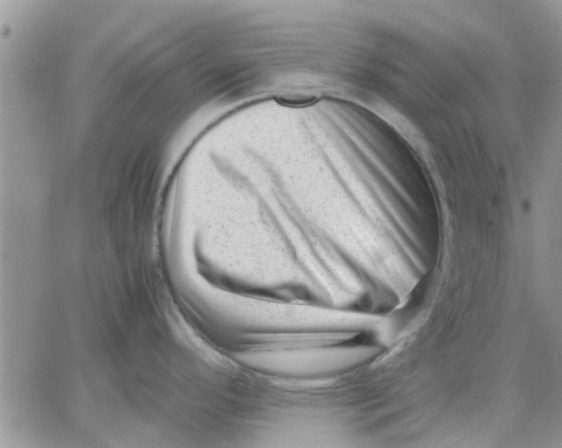 X0000066021296200603241526