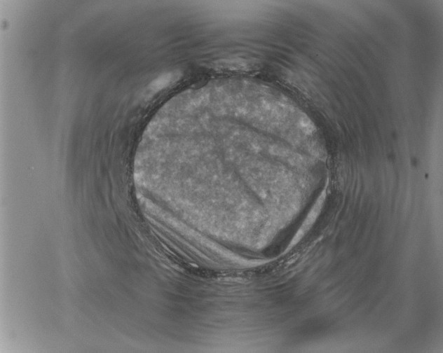 X0000066021297200603241525