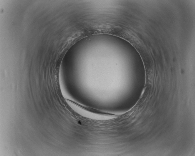 X0000066021298200603241525