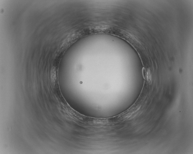 X0000066021299200603241525