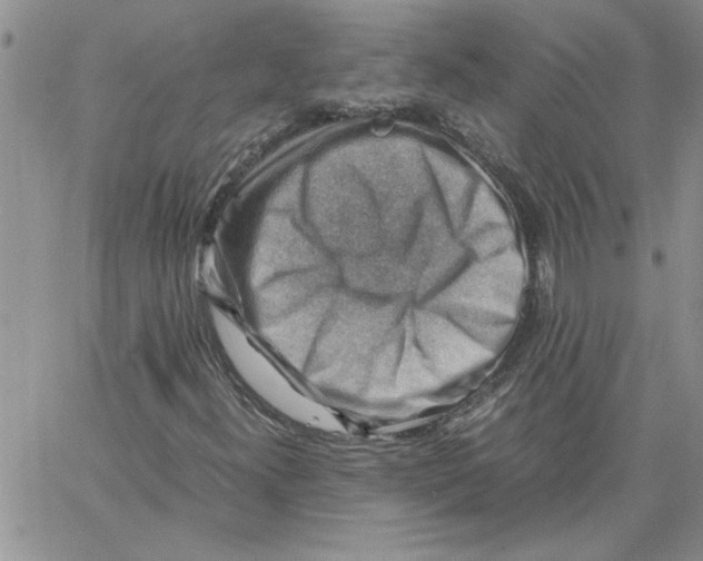 X0000066021300200603241525