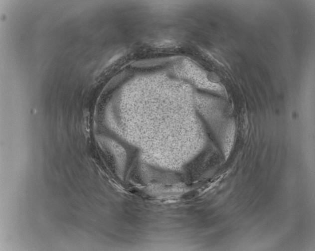 X0000066021301200603241525