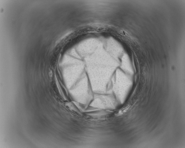 X0000066021302200603241525