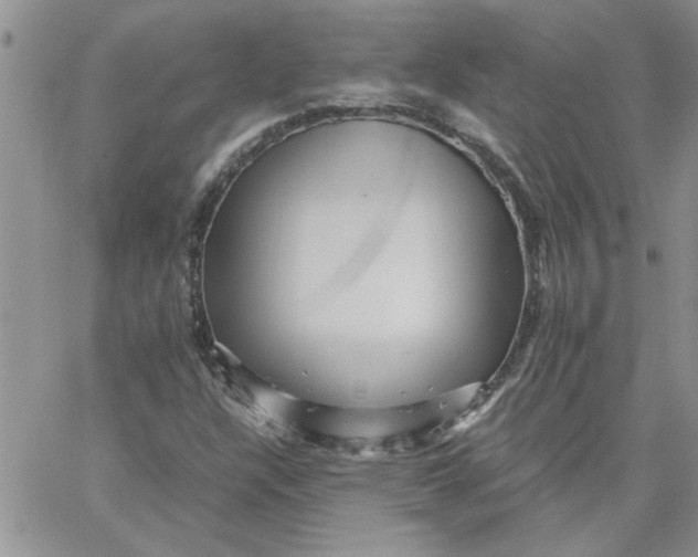 X0000066021304200603241525