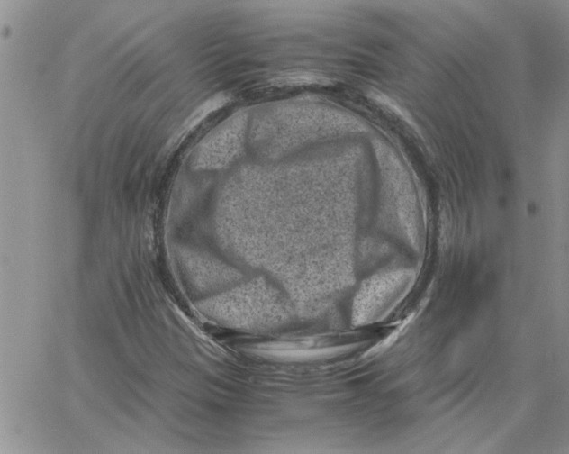 X0000066021305200603241525