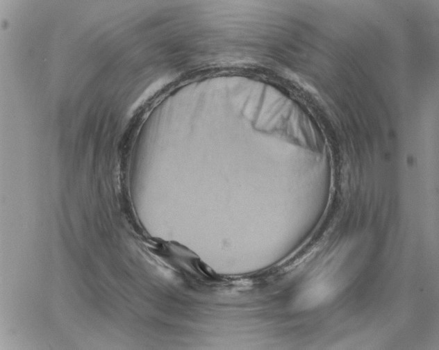 X0000066021306200603241525