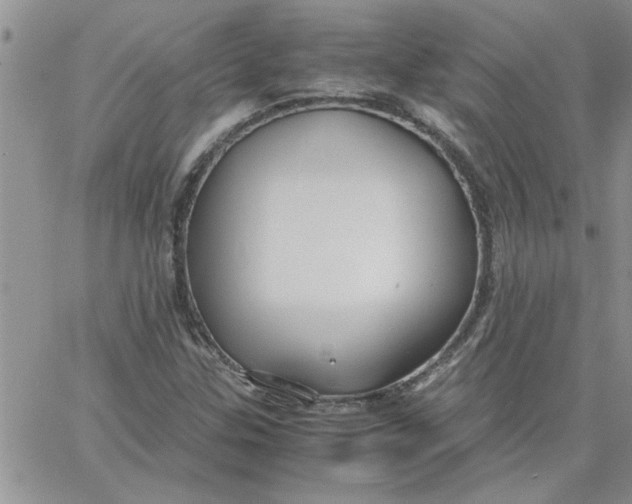 X0000066021307200603241525