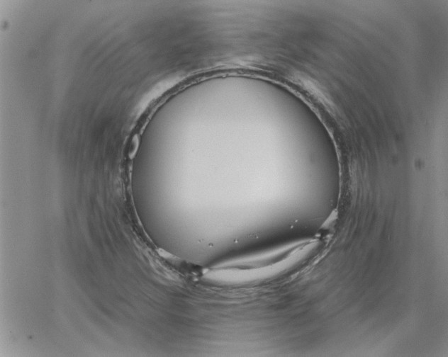 X0000066021308200603241525