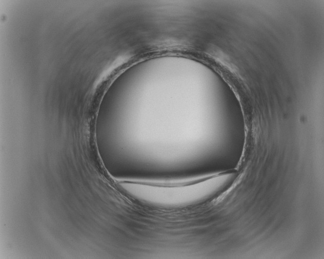 X0000066021309200603241525