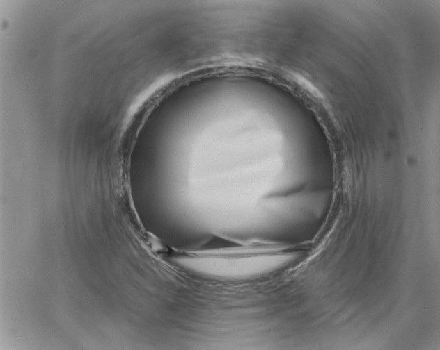 X0000066021310200603241525