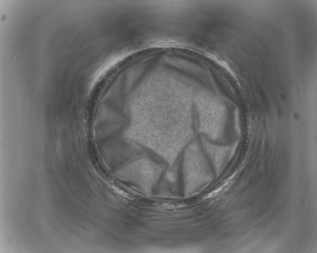 X0000066021311200603241525