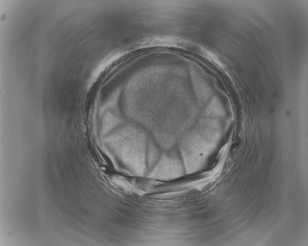 X0000066021312200603241525