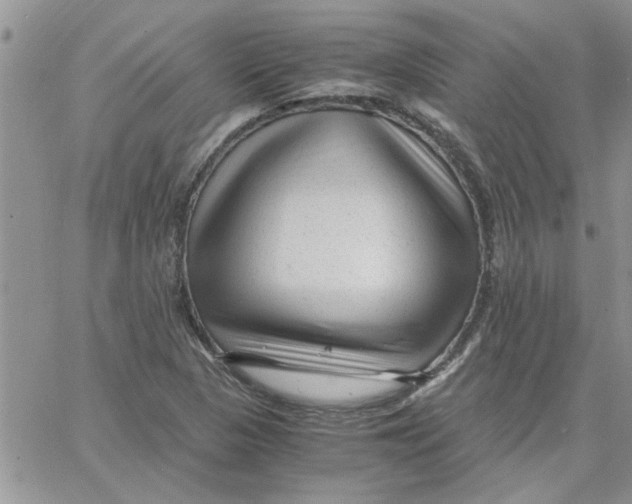 X0000066021313200603241525