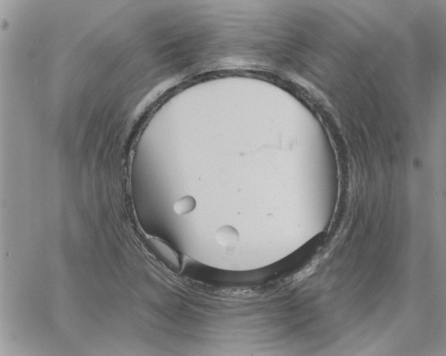 X0000066021314200603241525