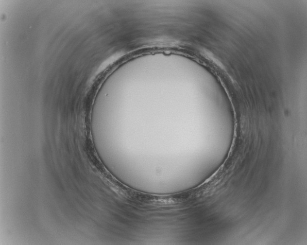 X0000066021315200603241525