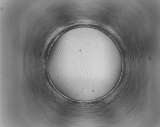 X0000066021318200603241525