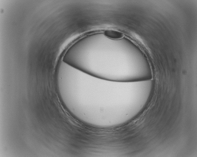 X0000066021320200603241525