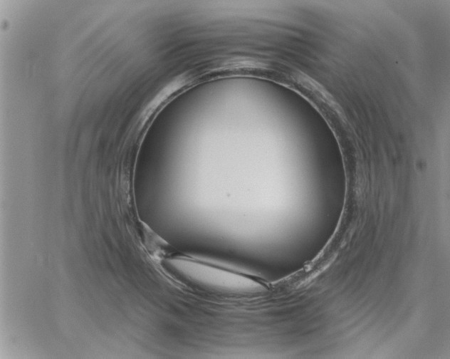 X0000066021321200603241525