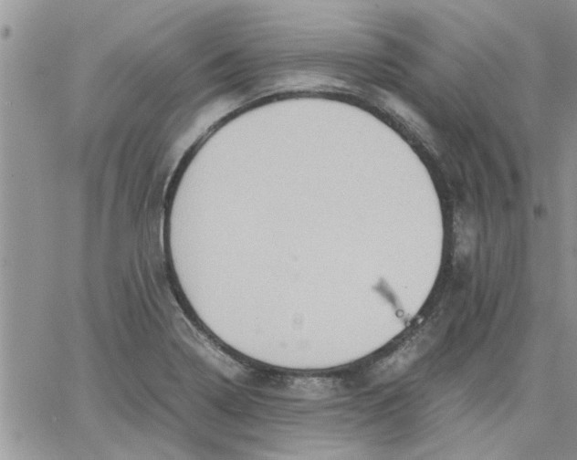 X0000066021322200603241525