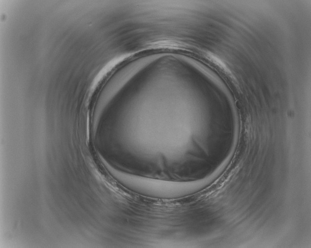 X0000066021323200603241525