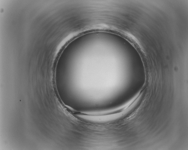 X0000066021326200603241525