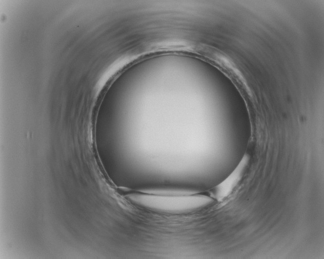 X0000066021328200603241525