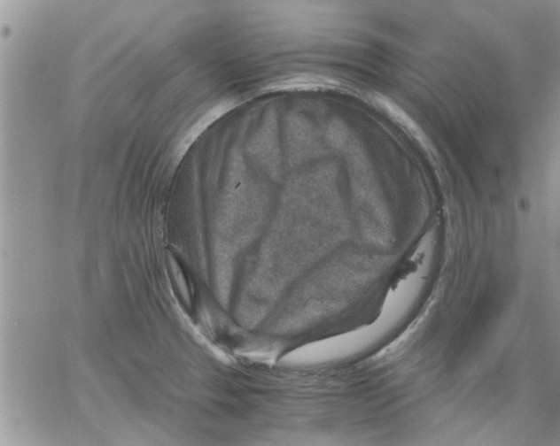 X0000066021329200603241525