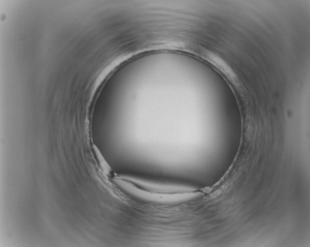 X0000066021332200603241525