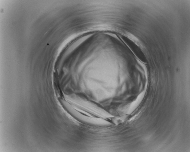 X0000066021334200603241525