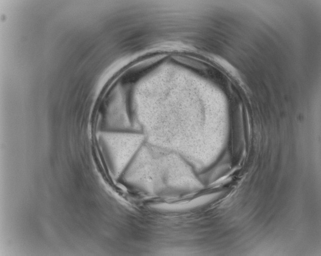 X0000066021335200603241525