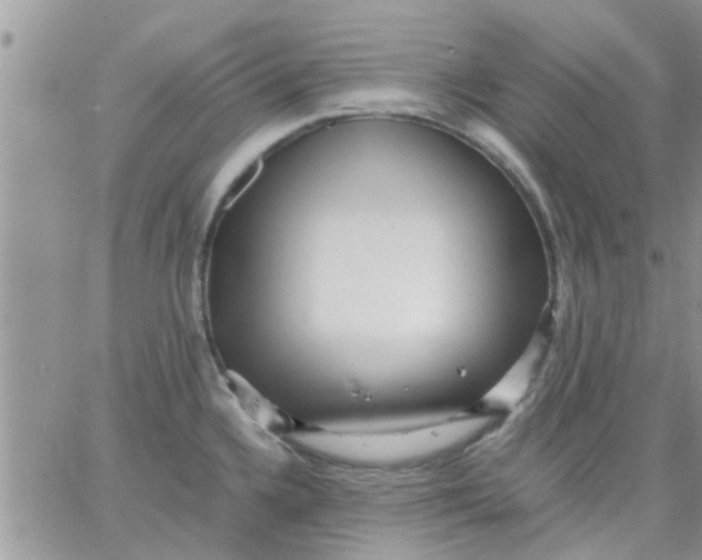 X0000066021336200603241525