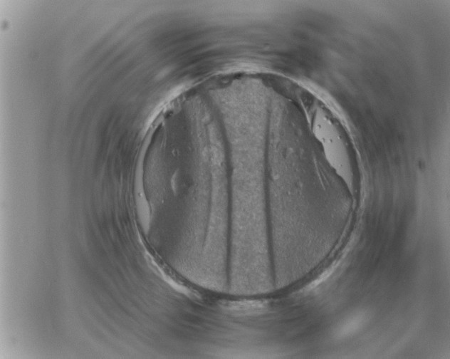 X0000066021337200603241525