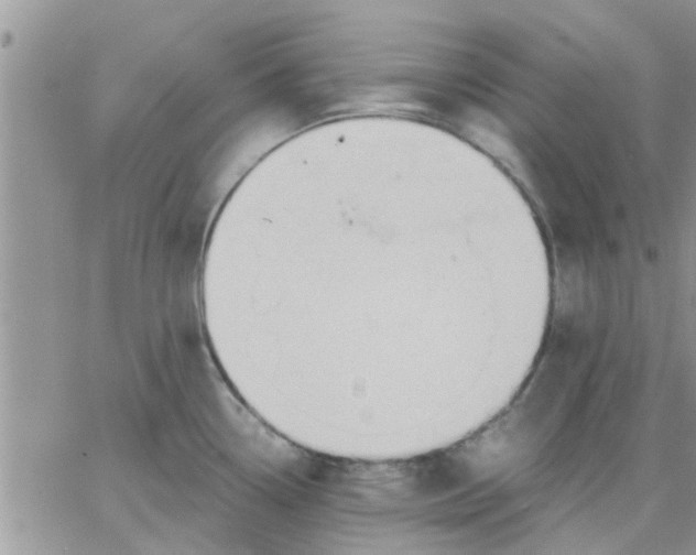 X0000066021338200603241525