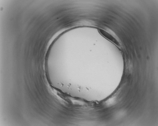 X0000066021339200603241525