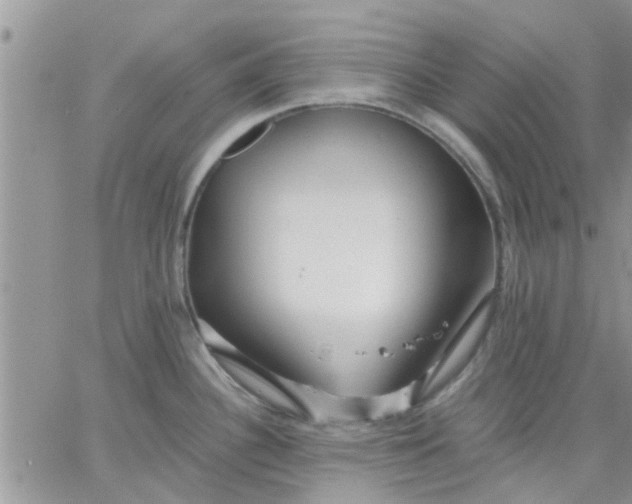 X0000066021340200603241525