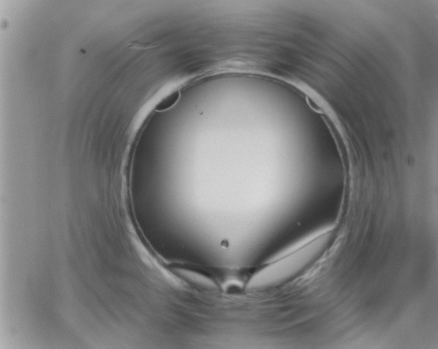 X0000066021341200603241525