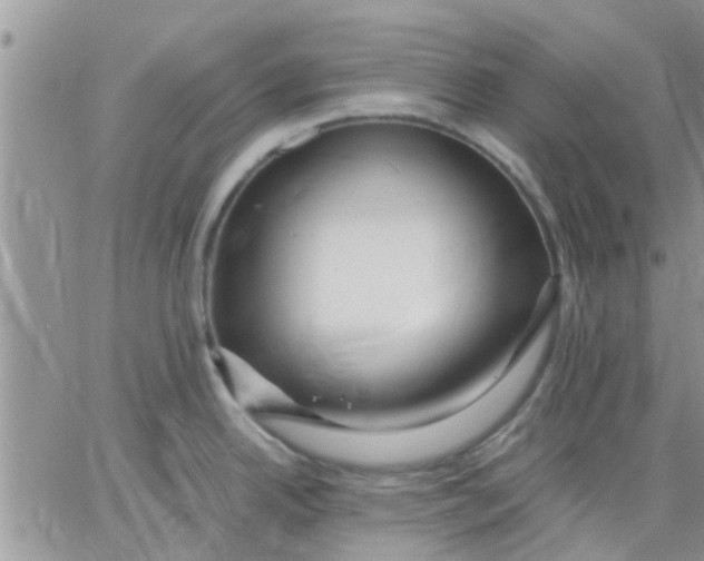 X0000066021342200603241526