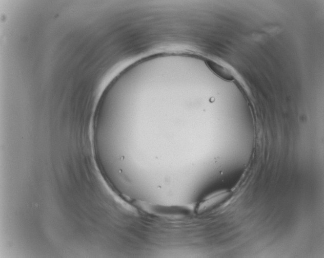 X0000066021343200603241526