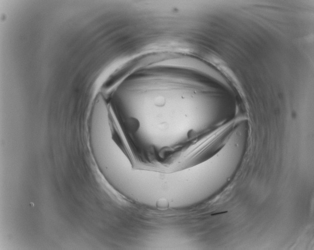 X0000066021344200603241526