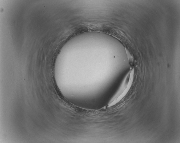 X0000066021345200603241525