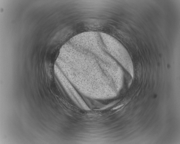 X0000066021346200603241525