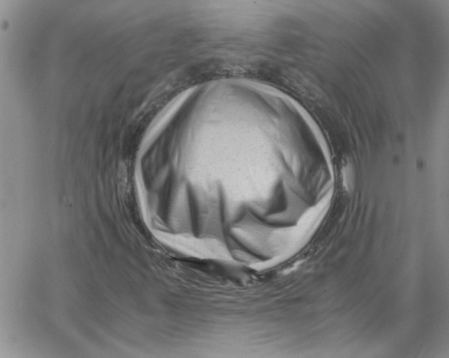 X0000066021347200603241525