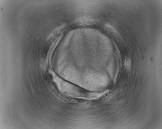 X0000066021348200603241525