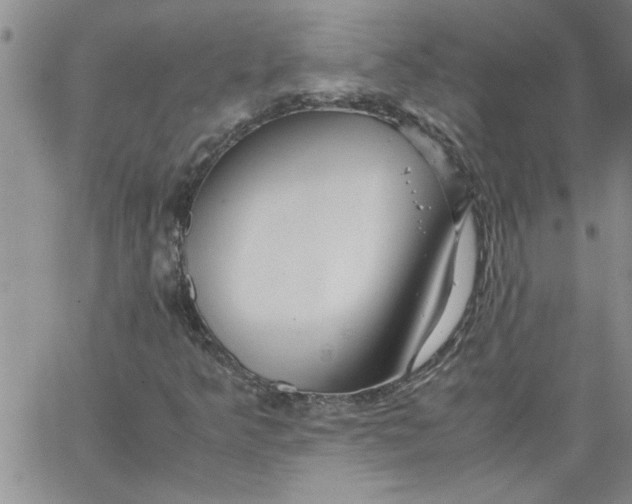 X0000066021349200603241525