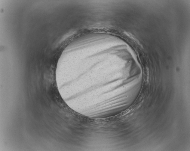 X0000066021350200603241525