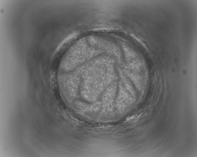 X0000066021351200603241525