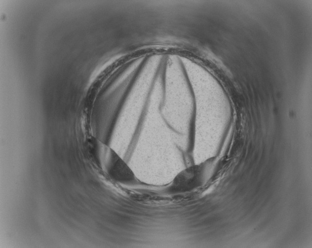 X0000066021352200603241525