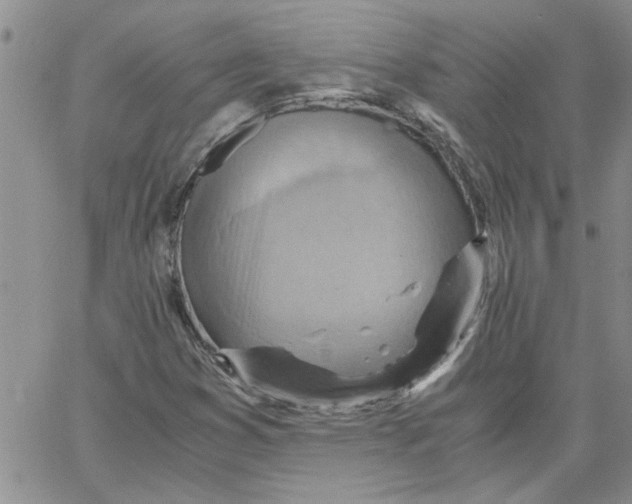 X0000066021353200603241525