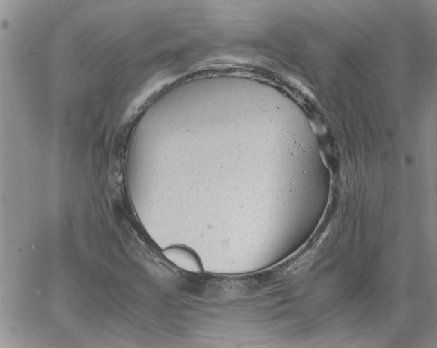 X0000066021355200603241525