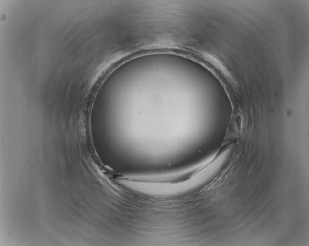 X0000066021356200603241525